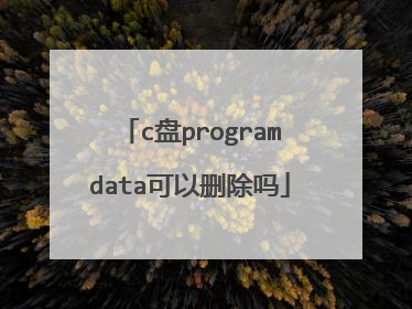 c盘programdata可以删除吗