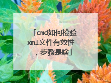 cmd如何检验xml文件有效性,步骤是啥