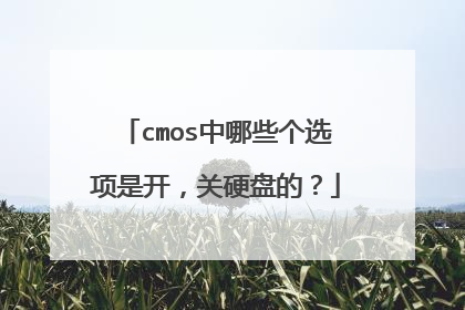 cmos中哪些个选项是开，关硬盘的？
