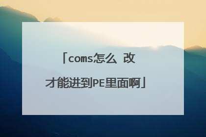 coms怎么 改 才能进到PE里面啊