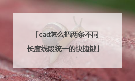 cad怎么把两条不同长度线段统一的快捷键