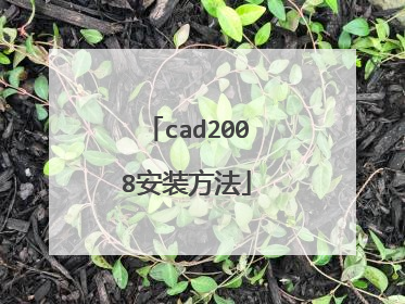 cad2008安装方法