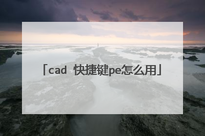 cad 快捷键pe怎么用