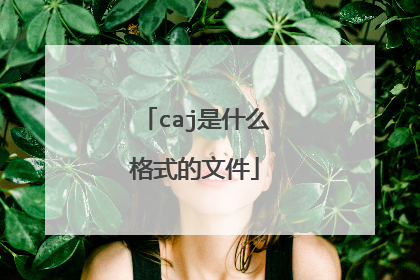 caj是什么格式的文件
