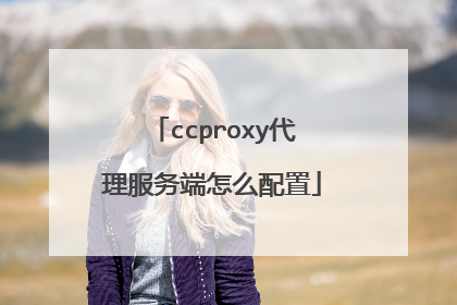 ccproxy代理服务端怎么配置