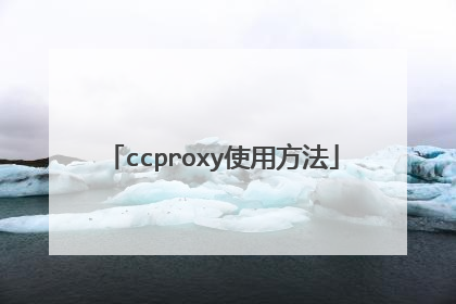 ccproxy使用方法