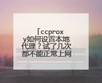 ccproxy如何设置本地代理?试了几次都不能正常上网,高手帮下