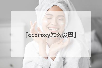 ccproxy怎么设置