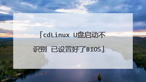 cdLinux U盘启动不识别 已设置好了BIOS