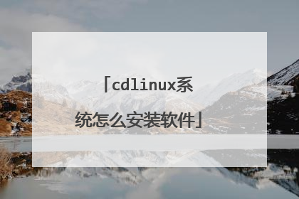 cdlinux系统怎么安装软件