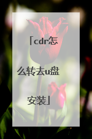 cdr怎么转去u盘安装
