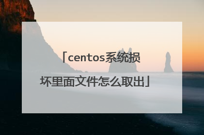 centos系统损坏里面文件怎么取出