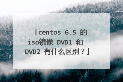 centos 6.5 的iso镜像 DVD1 和 DVD2 有什么区别?