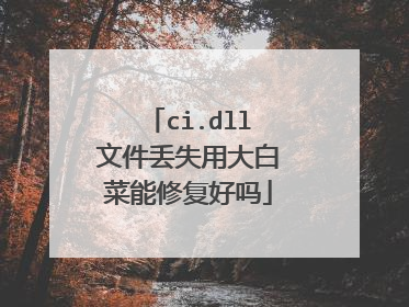 ci.dll文件丢失用大白菜能修复好吗