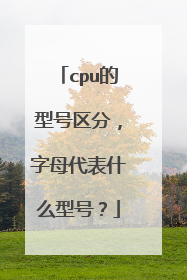 cpu的型号区分，字母代表什么型号？