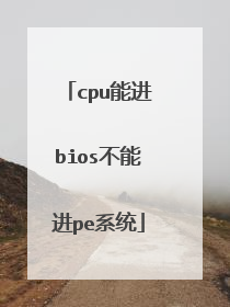 cpu能进bios不能进pe系统