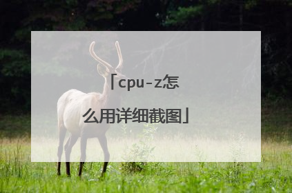 cpu-z怎么用详细截图