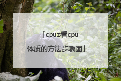 cpuz看cpu体质的方法步骤图