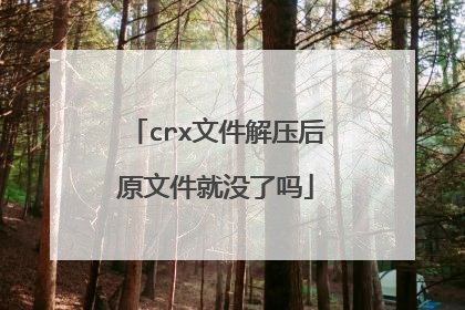 crx文件解压后原文件就没了吗
