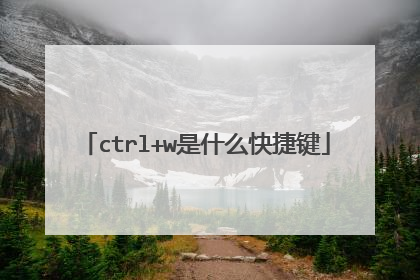 ctrl+w是什么快捷键