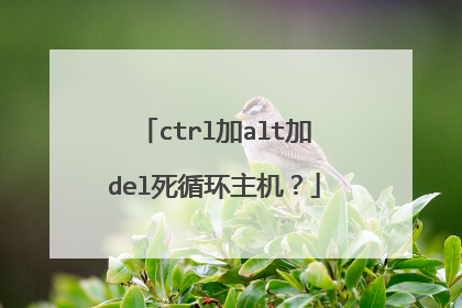 ctrl加alt加del死循环主机?