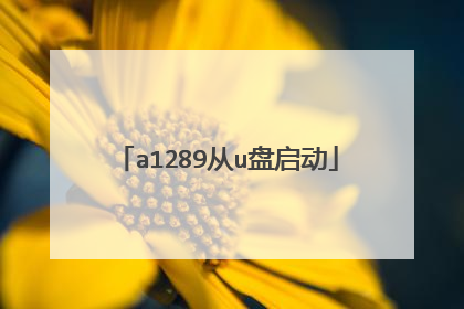 a1289从u盘启动