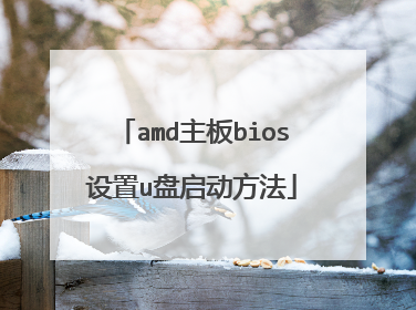 amd主板bios设置u盘启动方法