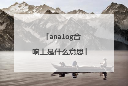 analog音响上是什么意思