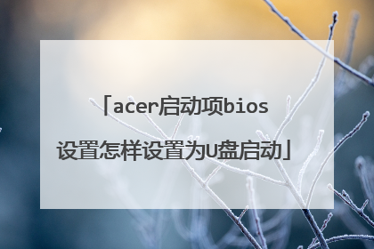 acer启动项bios设置怎样设置为U盘启动