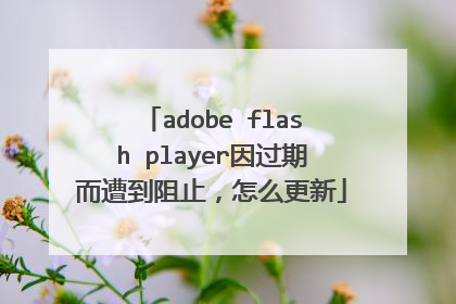 adobe flash player因过期而遭到阻止,怎么更新