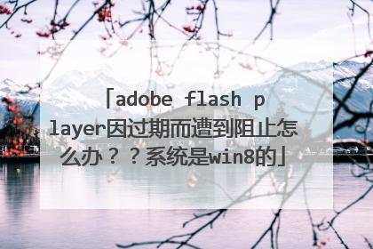 adobe flash player因过期而遭到阻止怎么办??系统是win8的