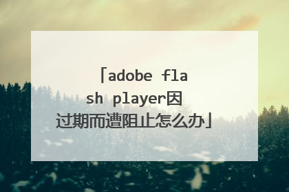 adobe flash player因过期而遭阻止怎么办