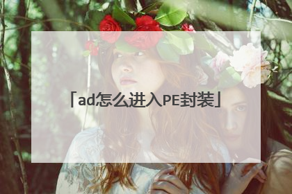 ad怎么进入PE封装