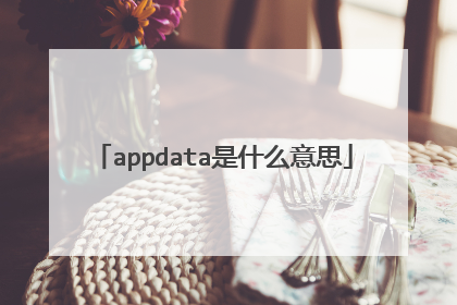 appdata是什么意思