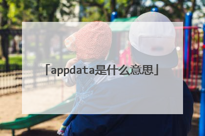 appdata是什么意思