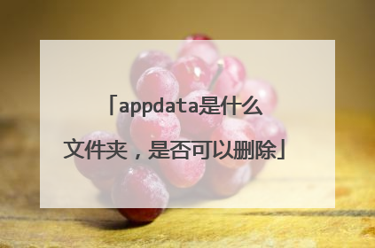 appdata是什么文件夹,是否可以删除