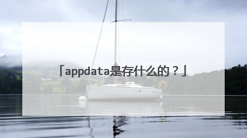 appdata是存什么的?