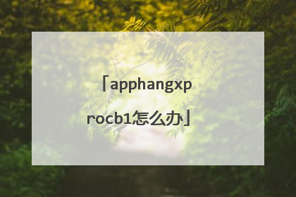 apphangxprocb1怎么办