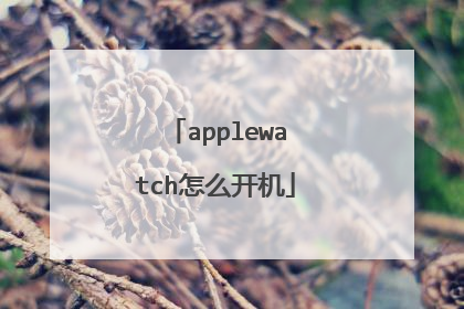 applewatch怎么开机