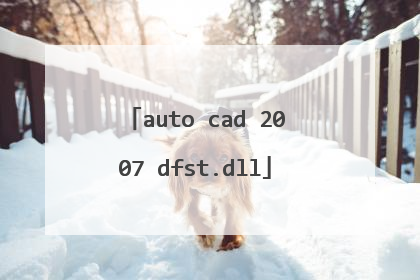 auto cad 2007 dfst.dll