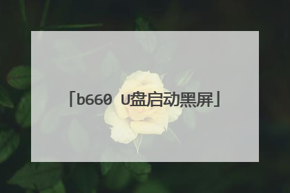 b660 U盘启动黑屏