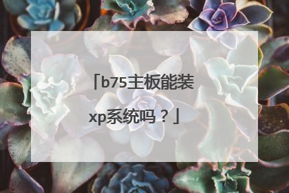 b75主板能装xp系统吗?
