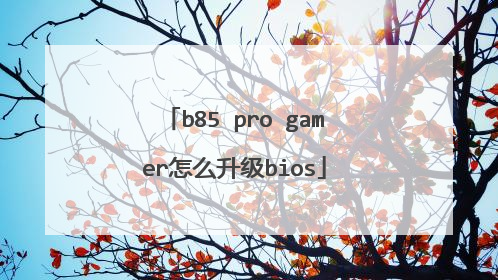 b85 pro gamer怎么升级bios