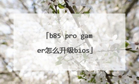 b85 pro gamer怎么升级bios