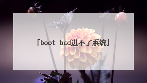 boot bcd进不了系统