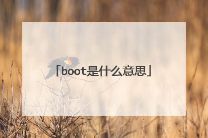 boot是什么意思