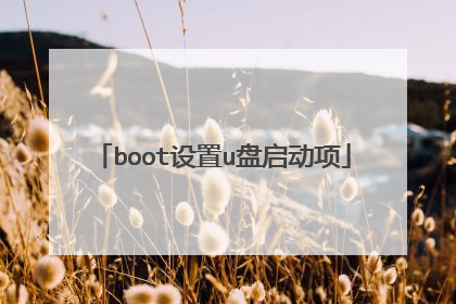 boot设置u盘启动项