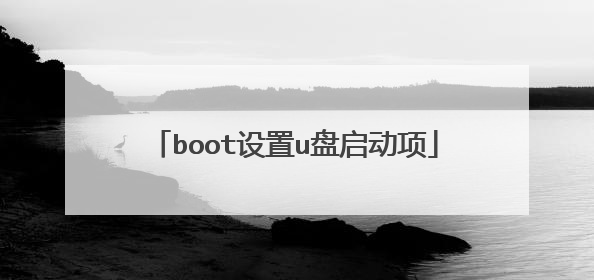 boot设置u盘启动项