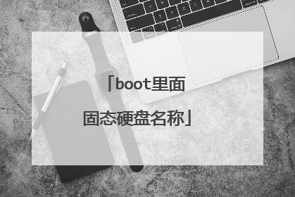 boot里面固态硬盘名称