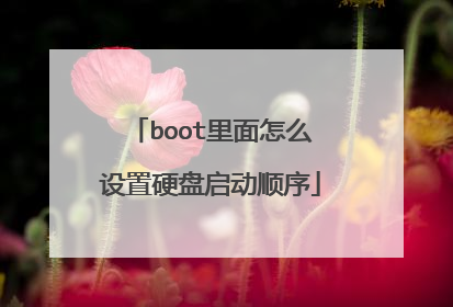 boot里面怎么设置硬盘启动顺序